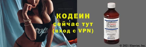хмурый Балахна