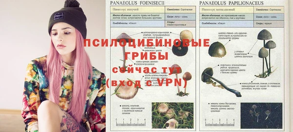 альфа пвп VHQ Баксан
