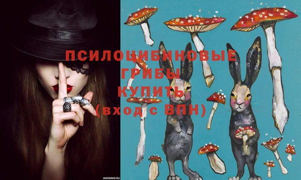 тгк Елабуга